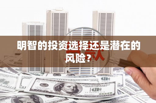 巧家明智的投资选择还是潜在的风险？