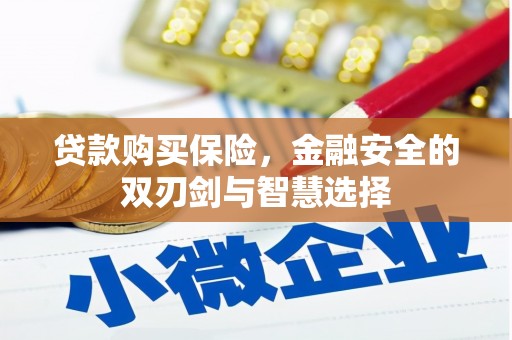 巧家贷款购买保险，金融安全的双刃剑与智慧选择