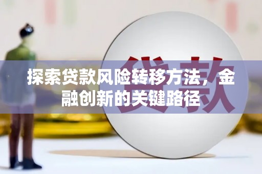 巧家探索贷款风险转移方法，金融创新的关键路径