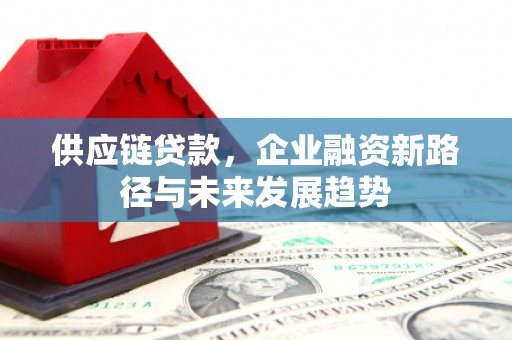 巧家供应链贷款，企业融资新路径与未来发展趋势