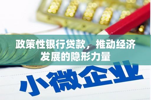 巧家政策性银行贷款，推动经济发展的隐形力量