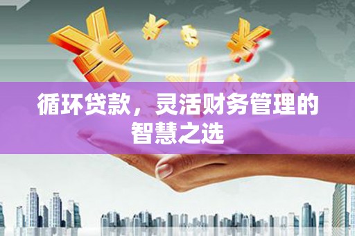 巧家循环贷款，灵活财务管理的智慧之选