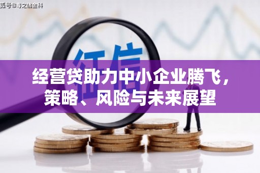 巧家经营贷助力中小企业腾飞，策略、风险与未来展望