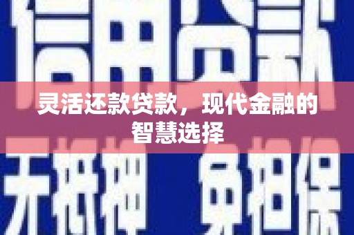 巧家灵活还款贷款，现代金融的智慧选择