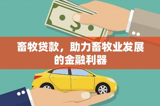 巧家畜牧贷款，助力畜牧业发展的金融利器