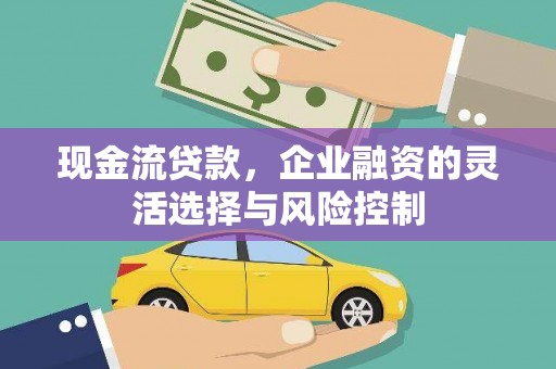 巧家现金流贷款，企业融资的灵活选择与风险控制