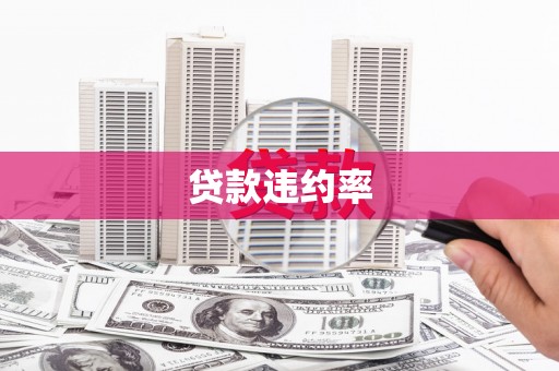 巧家贷款违约率