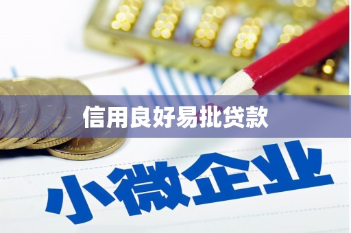 巧家信用良好易批贷款