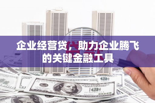 巧家企业经营贷，助力企业腾飞的关键金融工具