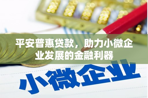 巧家平安普惠贷款，助力小微企业发展的金融利器
