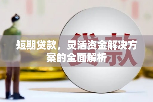 巧家短期贷款，灵活资金解决方案的全面解析