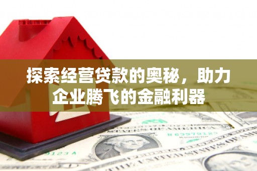巧家探索经营贷款的奥秘，助力企业腾飞的金融利器
