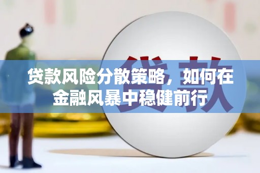 巧家贷款风险分散策略，如何在金融风暴中稳健前行