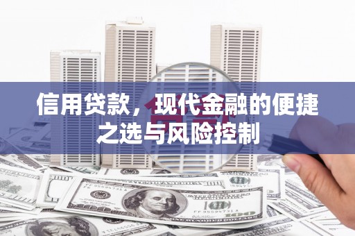巧家信用贷款，现代金融的便捷之选与风险控制