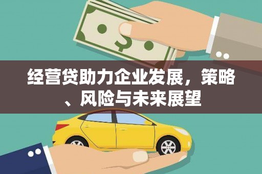 巧家经营贷助力企业发展，策略、风险与未来展望