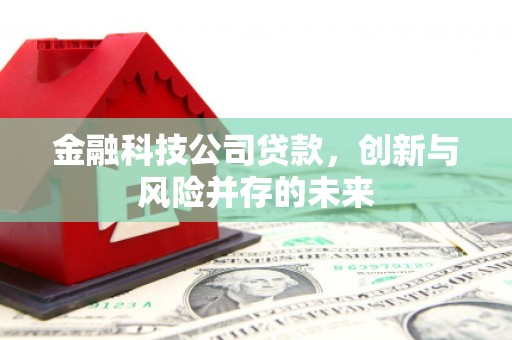 巧家金融科技公司贷款，创新与风险并存的未来