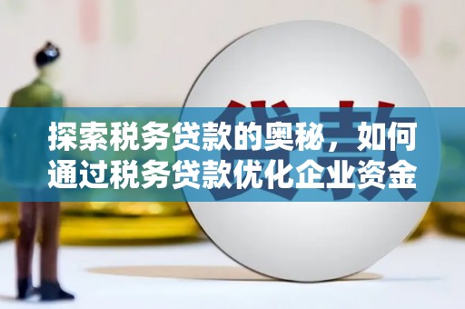 巧家探索税务贷款的奥秘，如何通过税务贷款优化企业资金流