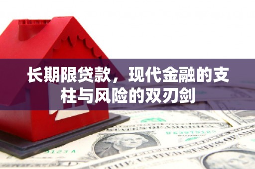 巧家长期限贷款，现代金融的支柱与风险的双刃剑