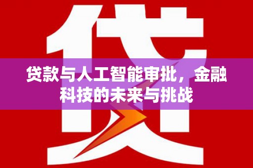 巧家贷款与人工智能审批，金融科技的未来与挑战