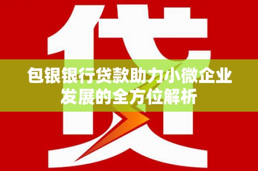 巧家包银银行贷款助力小微企业发展的全方位解析 巧家包银银行贷款助力小微企业发展的全方位解析