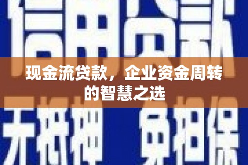 巧家现金流贷款，企业资金周转的智慧之选