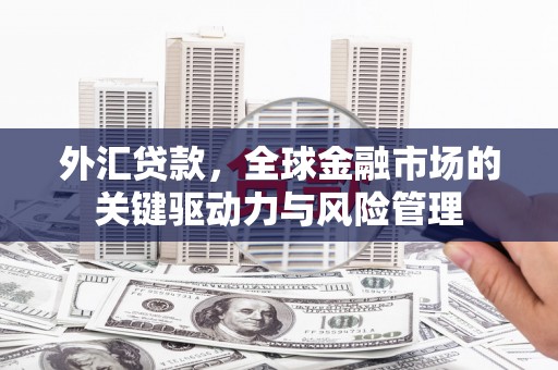 巧家外汇贷款，全球金融市场的关键驱动力与风险管理
