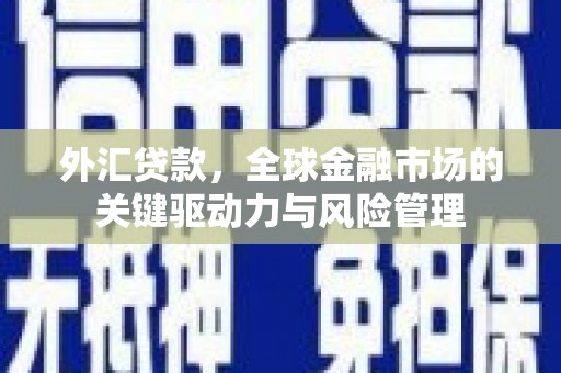 巧家外汇贷款，全球金融市场的关键驱动力与风险管理