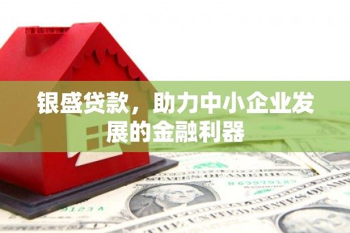 巧家银盛贷款，助力中小企业发展的金融利器