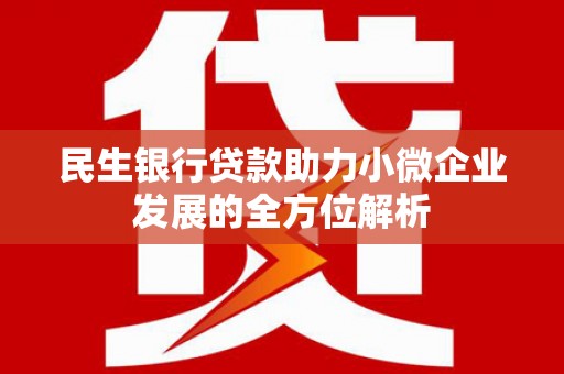 巧家民生银行贷款助力小微企业发展的全方位解析
