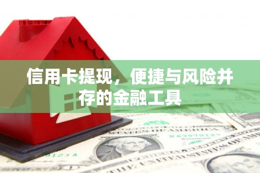 巧家信用卡提现，便捷与风险并存的金融工具