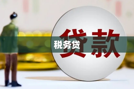 巧家税务贷