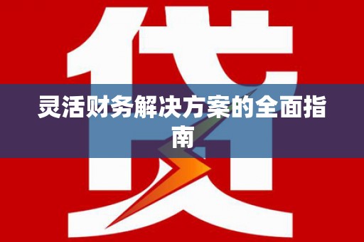 巧家灵活财务解决方案的全面指南