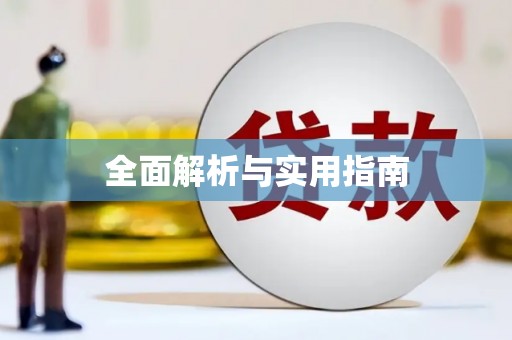 巧家全面解析与实用指南