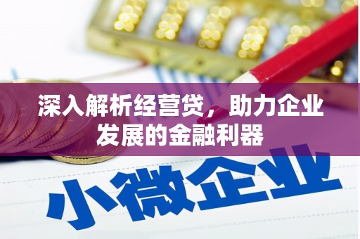 巧家深入解析经营贷，助力企业发展的金融利器