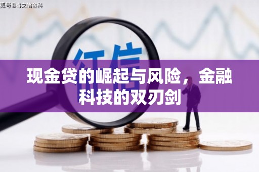 巧家现金贷的崛起与风险，金融科技的双刃剑