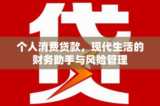巧家个人消费贷款，现代生活的财务助手与风险管理