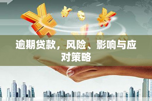 巧家逾期贷款，风险、影响与应对策略