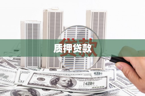 巧家质押贷款