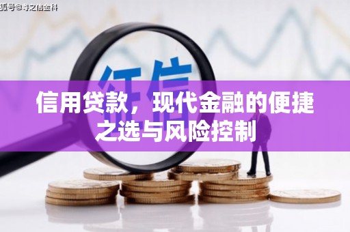 巧家信用贷款，现代金融的便捷之选与风险控制