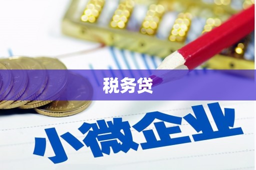 巧家税务贷