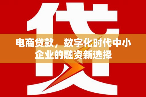 巧家电商贷款，数字化时代中小企业的融资新选择