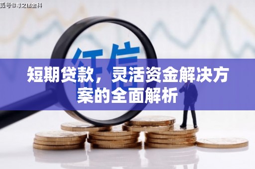 巧家短期贷款，灵活资金解决方案的全面解析