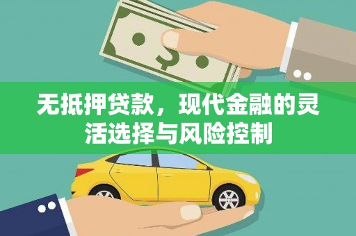 巧家无抵押贷款，现代金融的灵活选择与风险控制