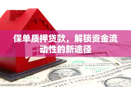 巧家保单质押贷款，解锁资金流动性的新途径