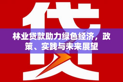 巧家林业贷款助力绿色经济，政策、实践与未来展望