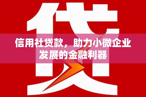 巧家信用社贷款，助力小微企业发展的金融利器