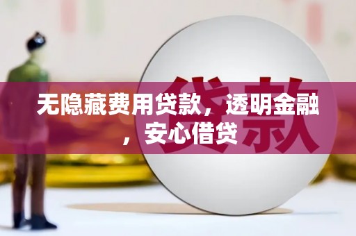 巧家无隐藏费用贷款，透明金融，安心借贷