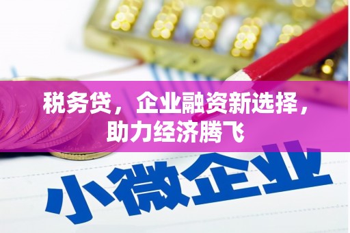 巧家税务贷，企业融资新选择，助力经济腾飞