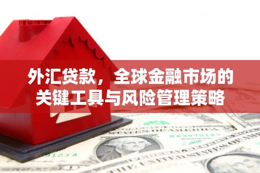 巧家外汇贷款，全球金融市场的关键工具与风险管理策略