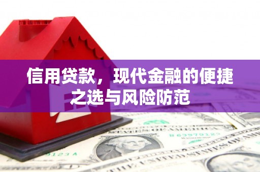 巧家信用贷款，现代金融的便捷之选与风险防范